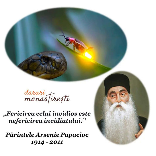 155.-Pitonul-si-licuriciul.jpg