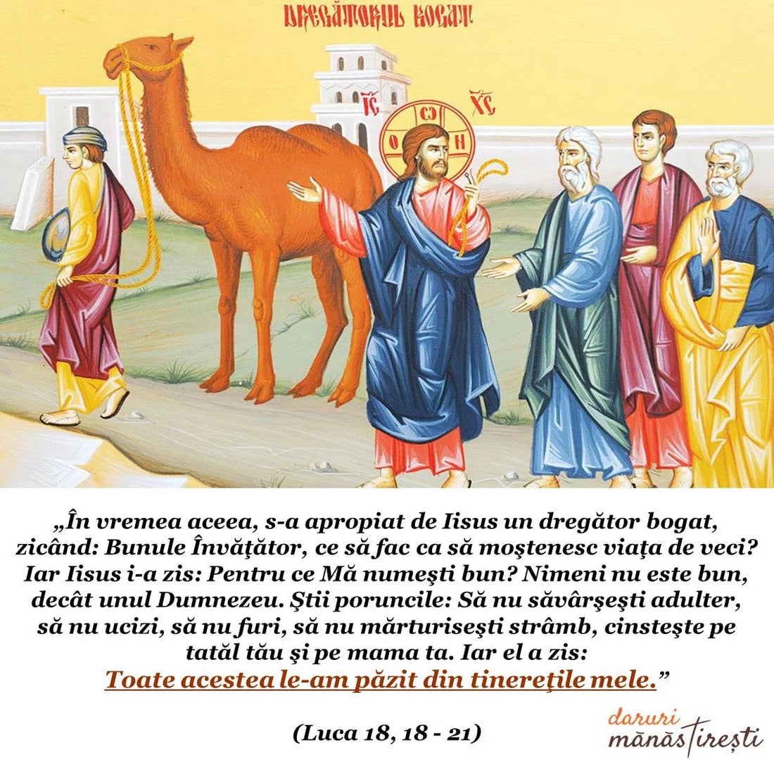 203.-Tinerete.jpg