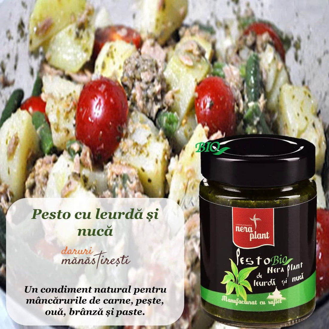 Salată de ton și Pesto leurdă