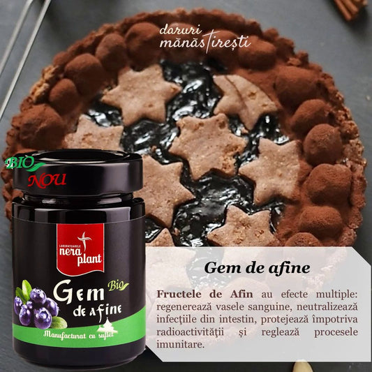 Tartă de post cu Gem afine