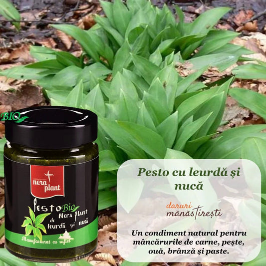 Rețetă de paste cu Pesto leurdă
