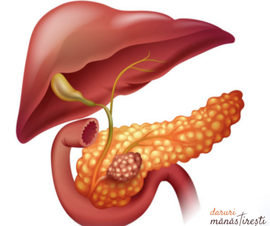 Simptome ale pancreasului bolnav