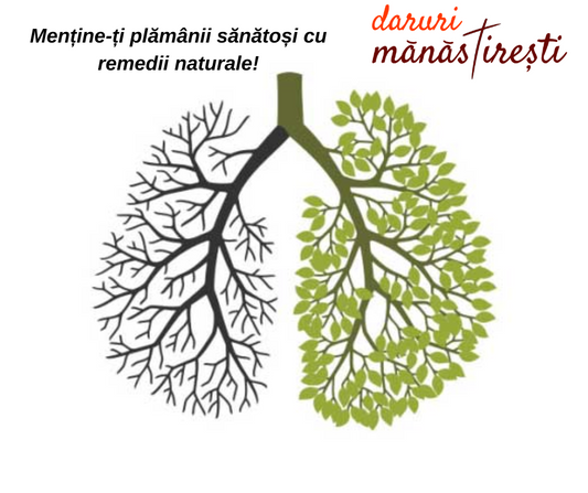 Menține-ți plămânii sănătoși cu remedii naturale!