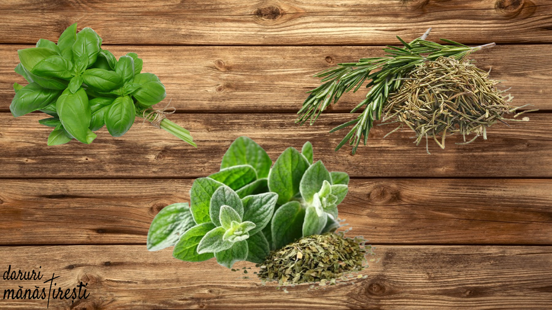 Proprietățile lecuitoare ale plantelor