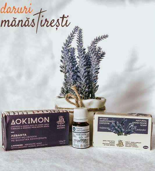 Lavanda-planta cu proprietăți extraordinare