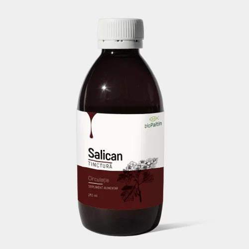 Tinctura Salican