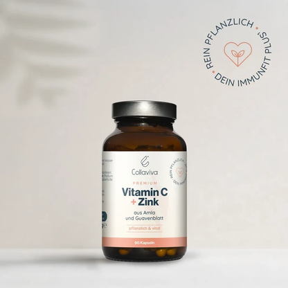 Complex de Vitamina C + Zinc